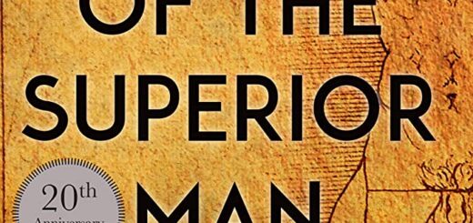 The Way of the Superior Man David Deida review